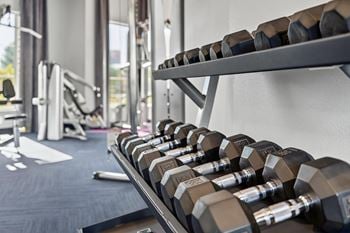 24-Hour fitness center with cardio and weight training equipment